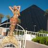 Photo: Hannah Fraser, aka The Human Mermaid. Photo: Hannah Fraser, aka The Human Mermaid.
